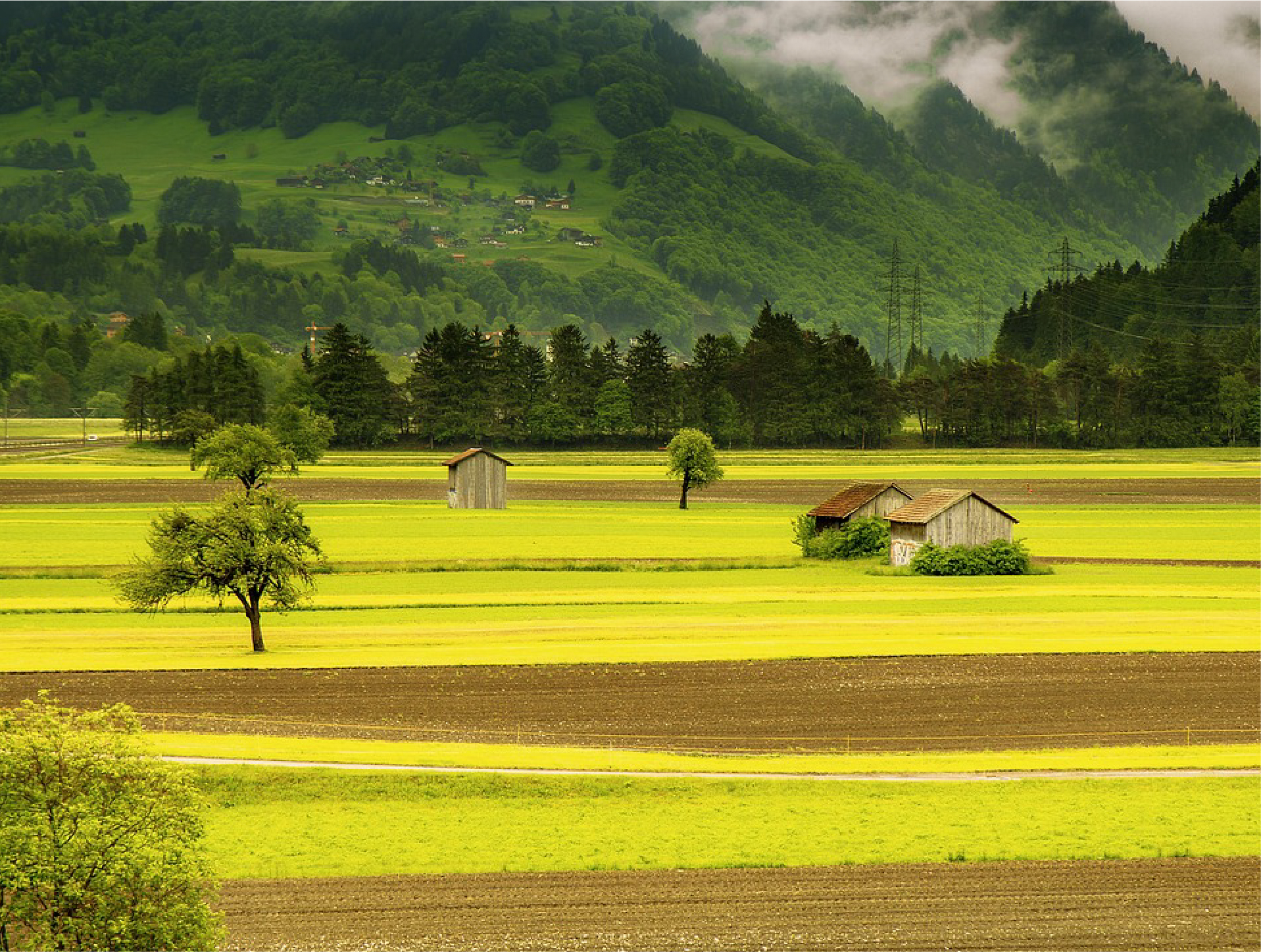 乡村旅游